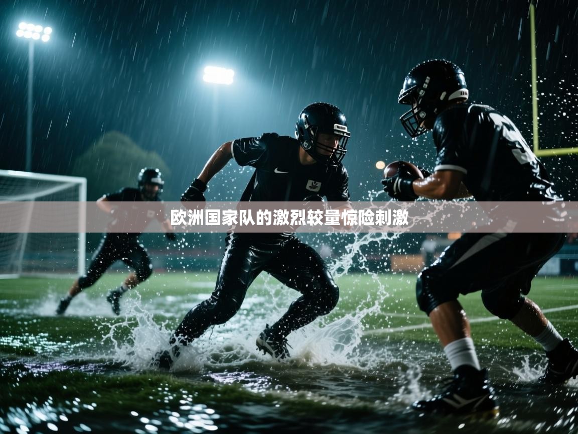 欧洲国家队的激烈较量惊险刺激 第2张