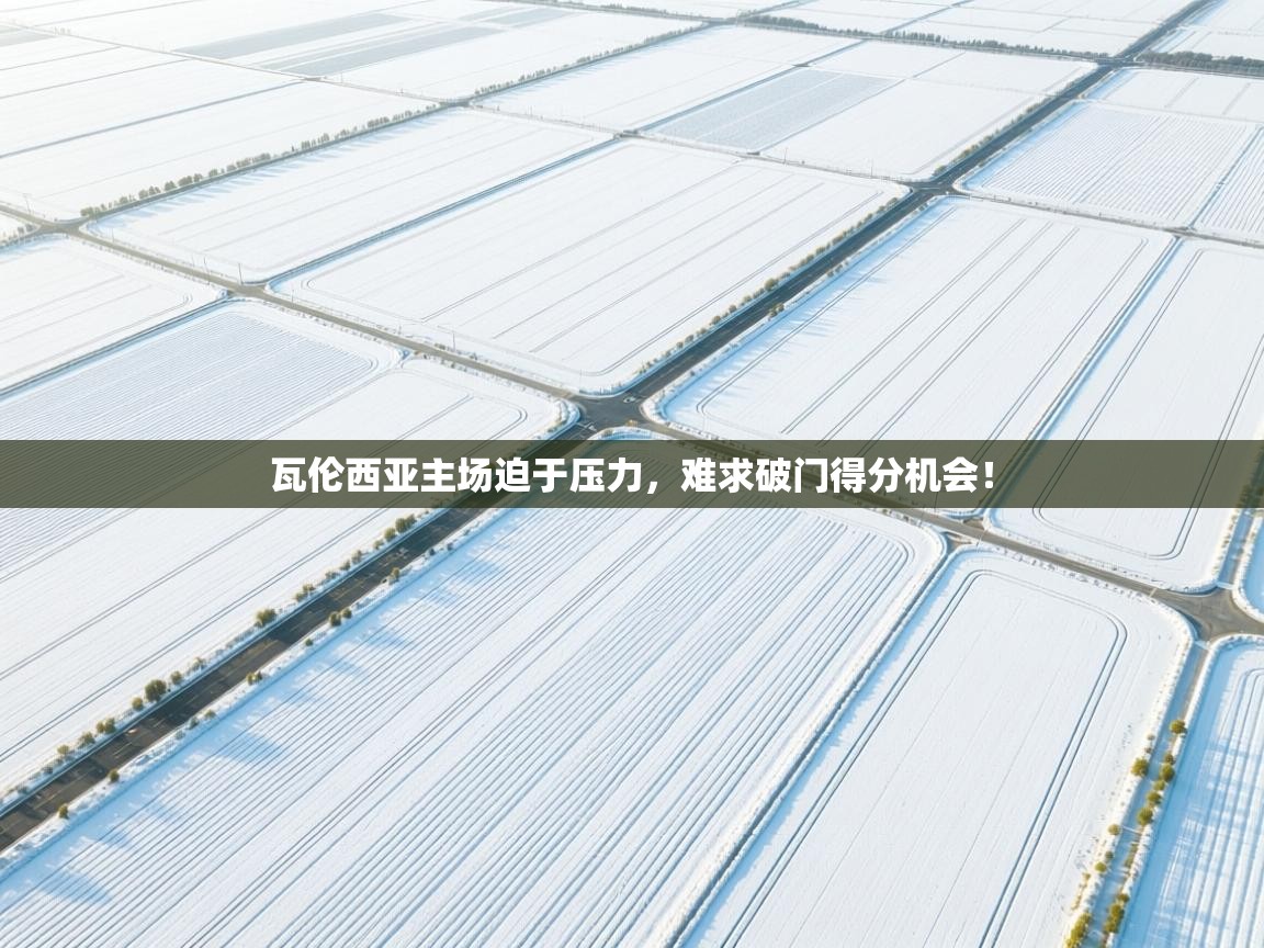 瓦伦西亚主场迫于压力，难求破门得分机会！  第2张