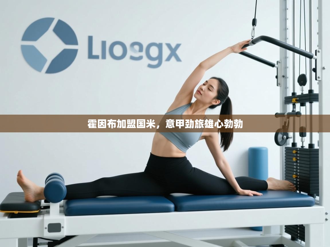 霍因布加盟国米，意甲劲旅雄心勃勃  第1张