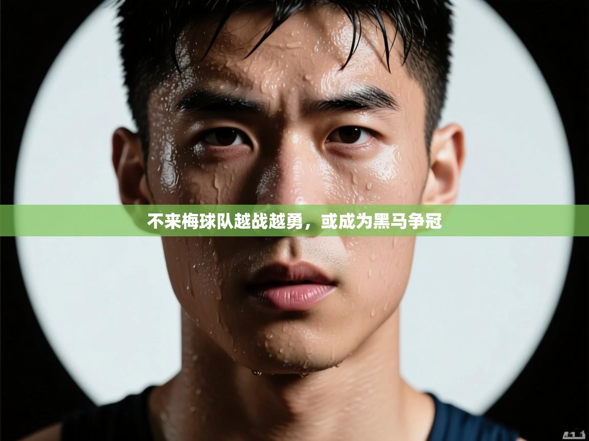 不来梅球队越战越勇，或成为黑马争冠  第2张