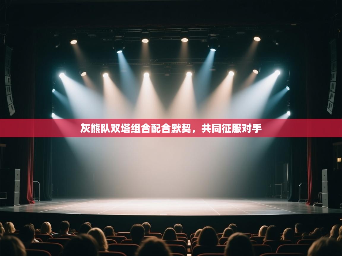 灰熊队双塔组合配合默契，共同征服对手