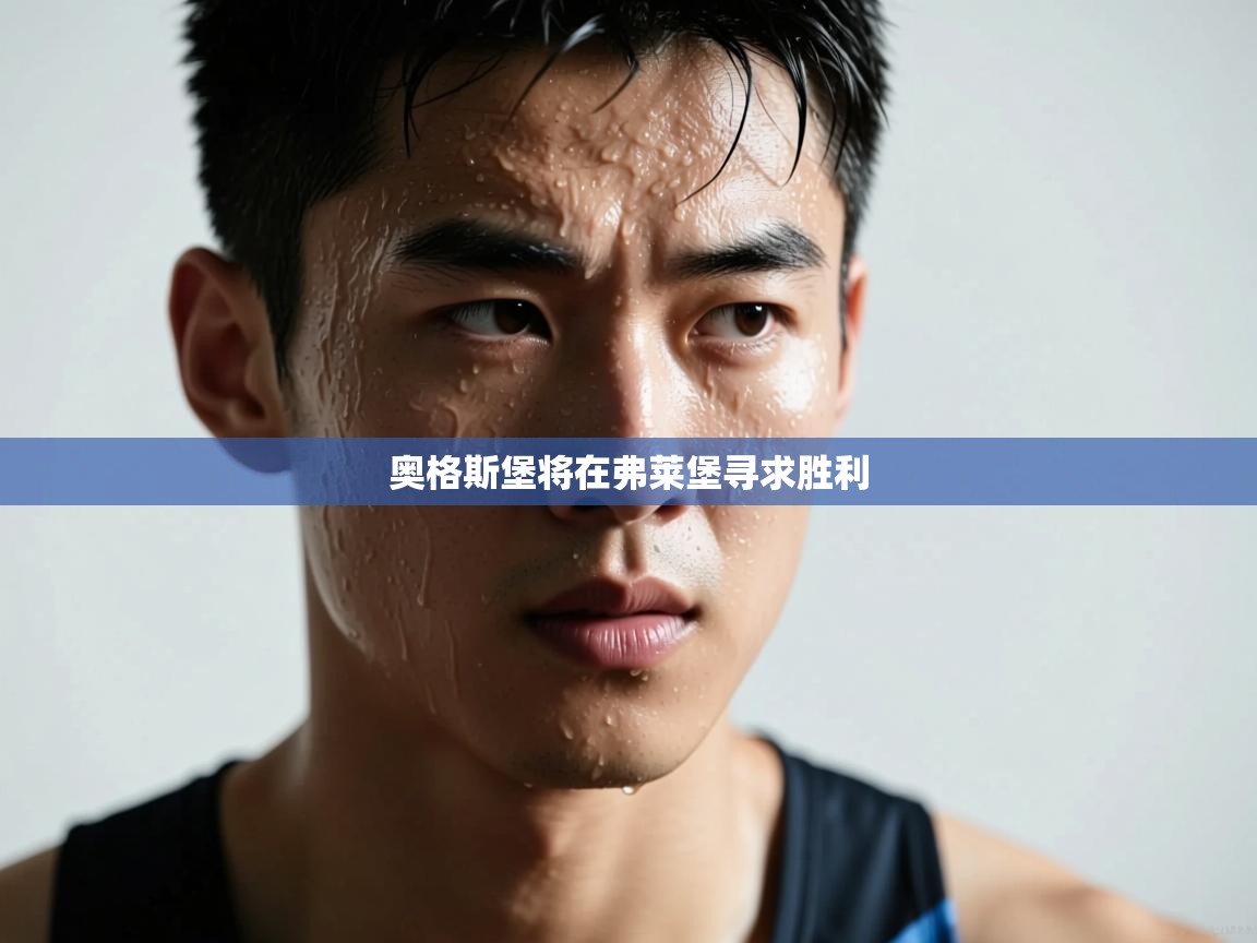 奥格斯堡将在弗莱堡寻求胜利  第1张