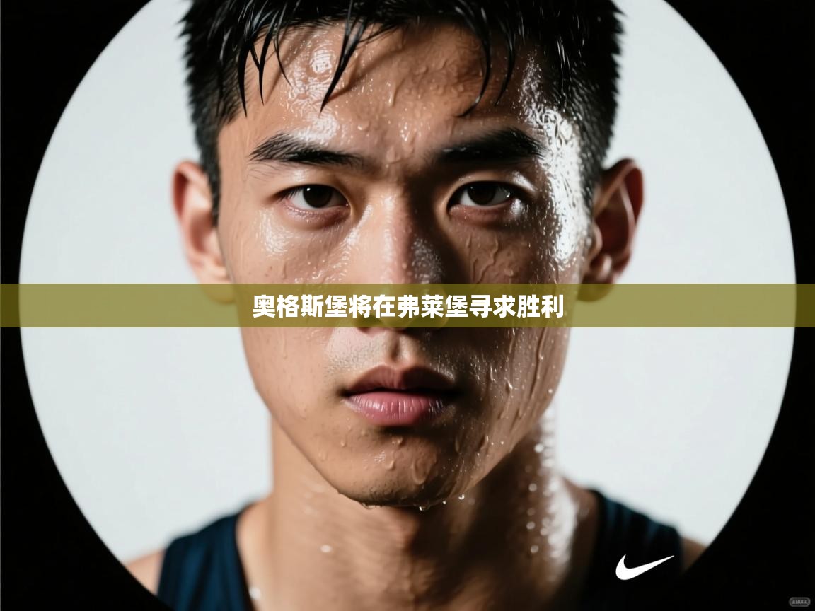 奥格斯堡将在弗莱堡寻求胜利  第2张