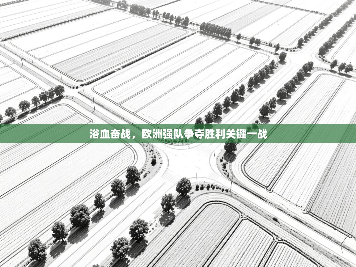 浴血奋战，欧洲强队争夺胜利关键一战  第1张