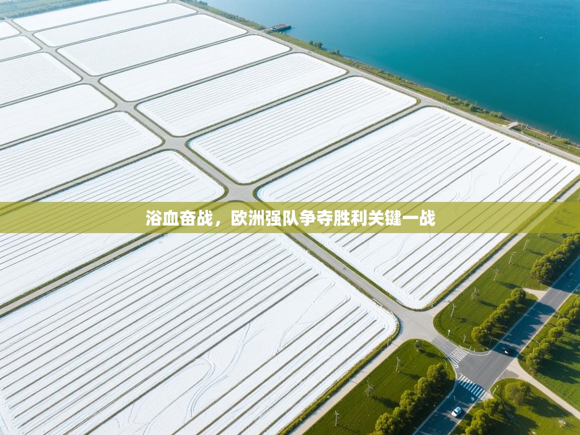 浴血奋战，欧洲强队争夺胜利关键一战  第2张