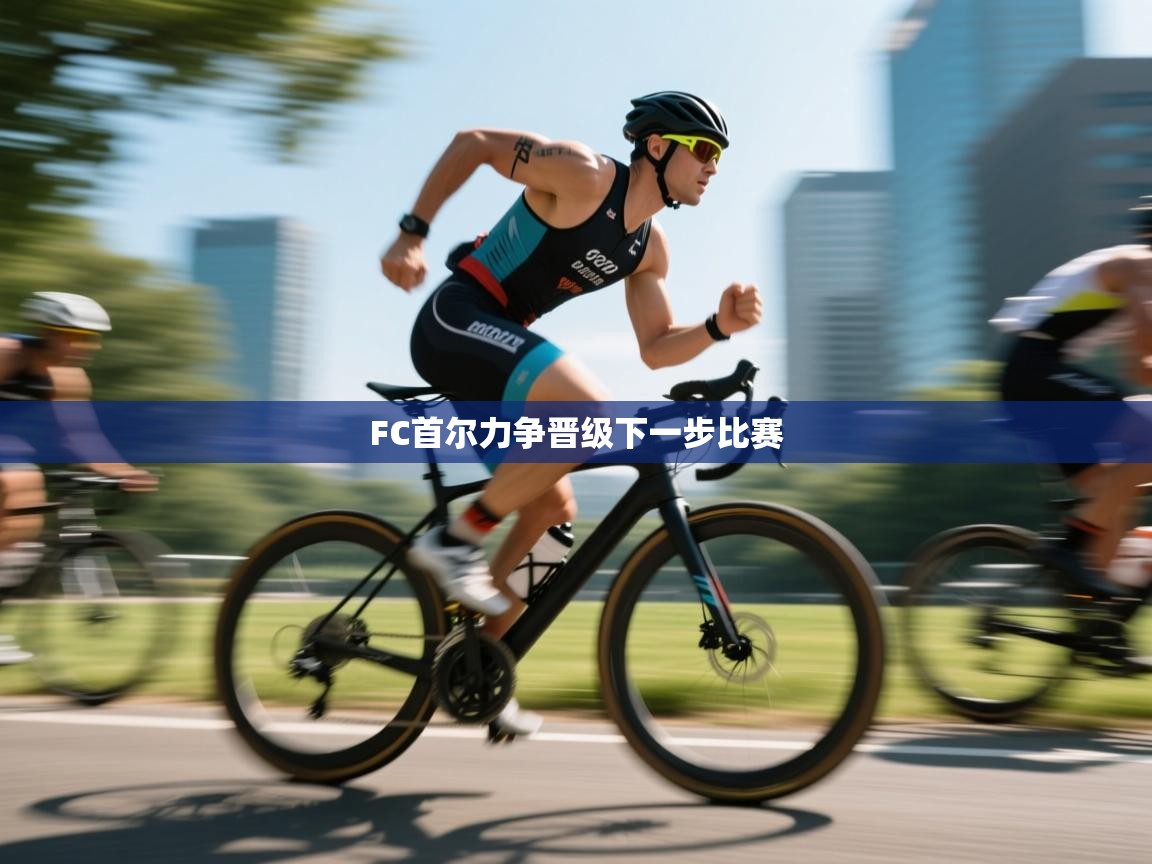 FC首尔力争晋级下一步比赛  第2张