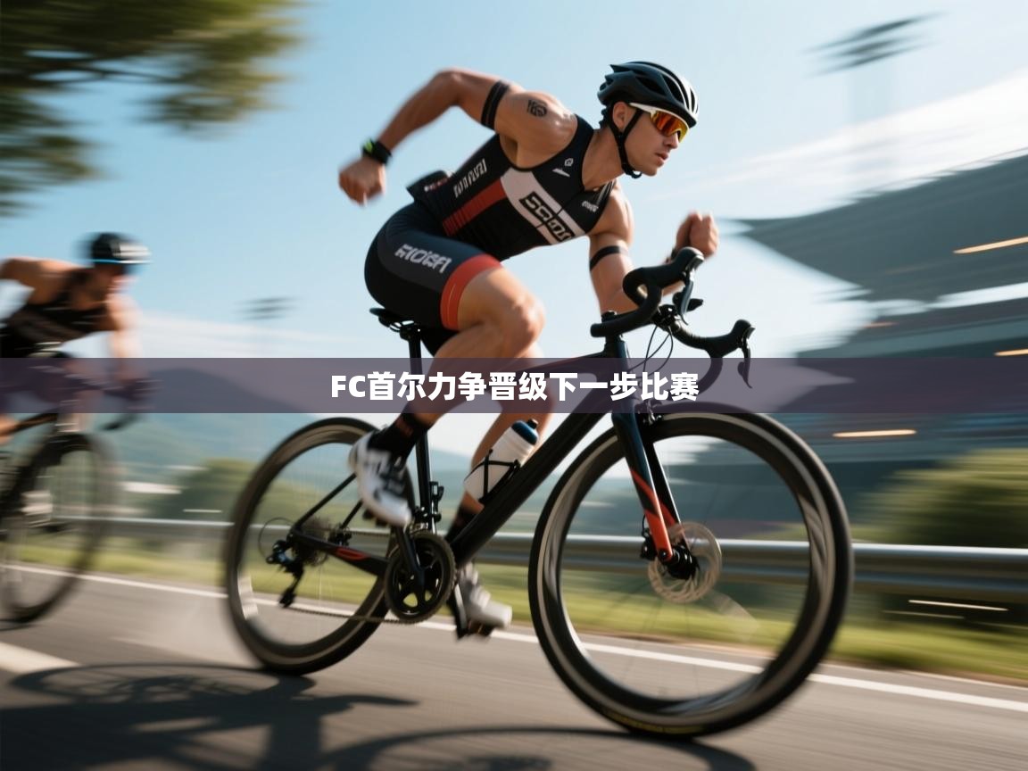 FC首尔力争晋级下一步比赛  第1张