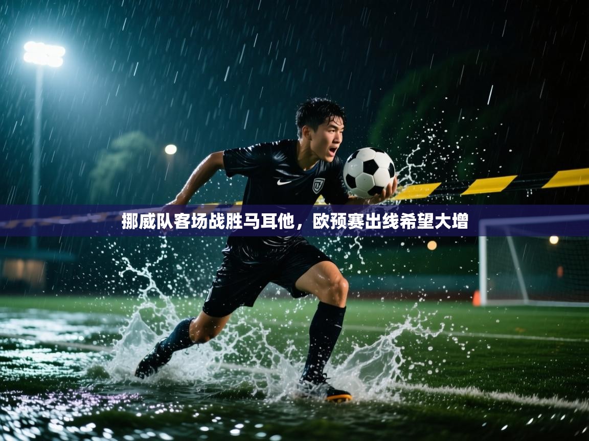 挪威队客场战胜马耳他，欧预赛出线希望大增  第1张