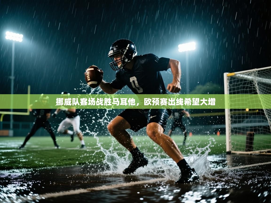 挪威队客场战胜马耳他，欧预赛出线希望大增  第2张